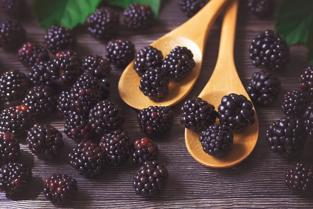 Reducing Skin Inflammation With the Help of… Blackberries!